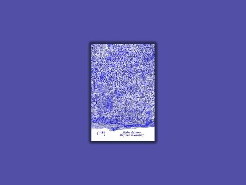 Il libro del sonno