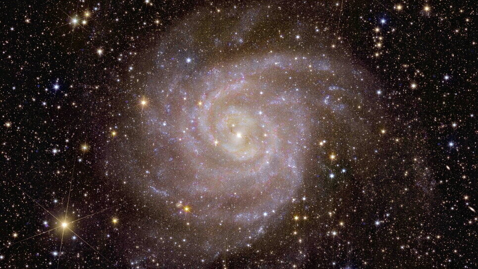 Il 7 novembre l'Esa pubblica le prime cinque immagini scientifiche scattate dal telescopio spaziale Euclid&nbsp;