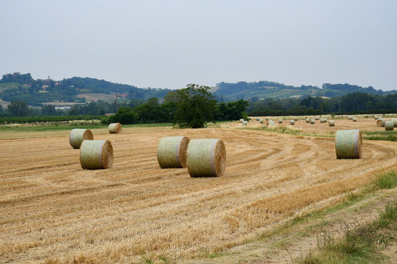 Foto MDidier