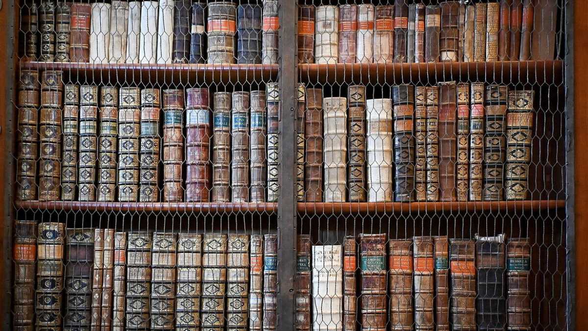 Immagine di La “bibliodiversità” per non arrendersi. Ecco la rete di librerie “indy” e biblioteche