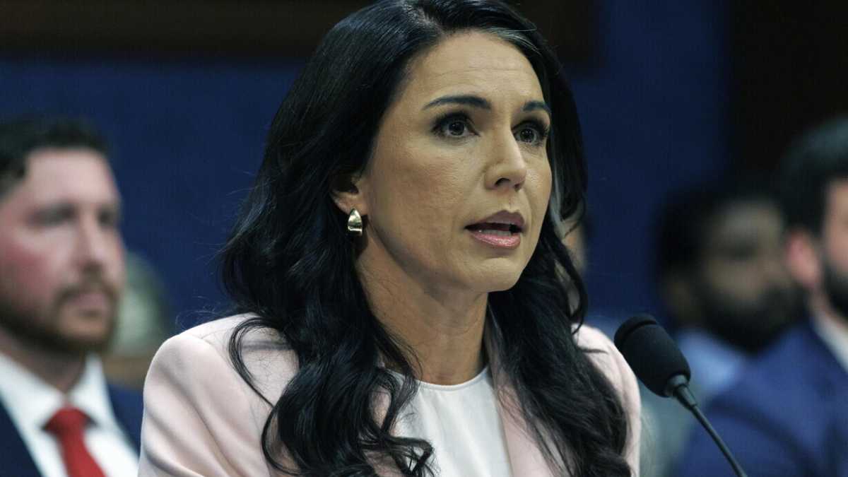 Immagine di Per arroccarsi al suo posto, Tulsi Gabbard ha formato un governo ombra che le fa da scudo