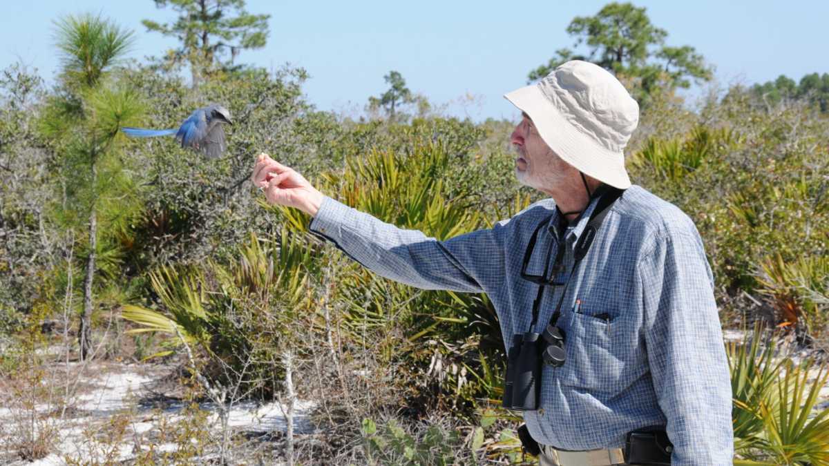 Immagine di In morte di un catastrofista. Addio a Paul R. Ehrlich