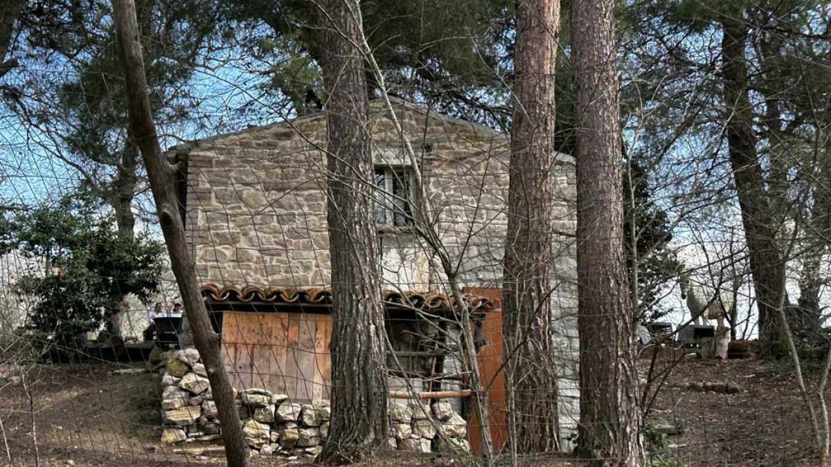 Immagine di Bambini del Bosco, avete perso il referendum