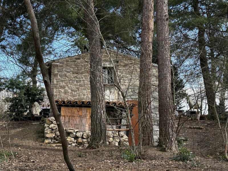 Bambini del Bosco, avete perso il referendum