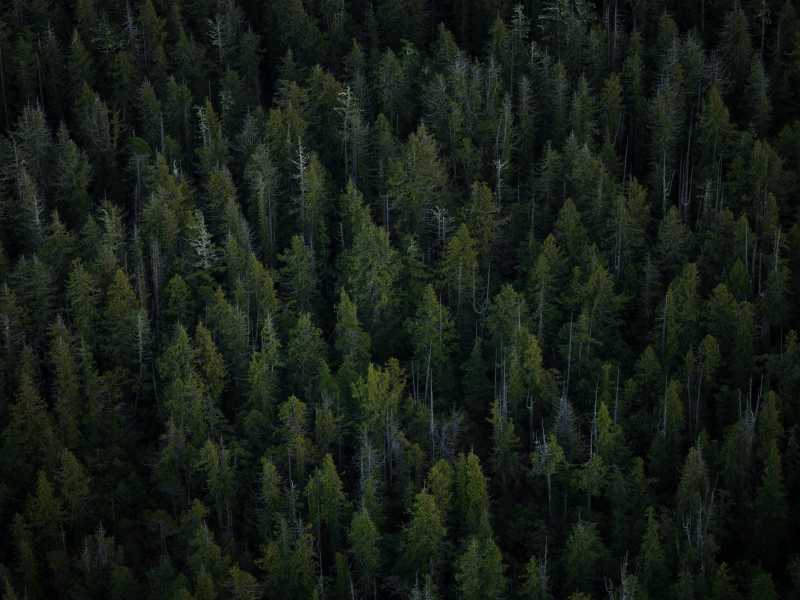 Foto di shayd johnson su Unsplash