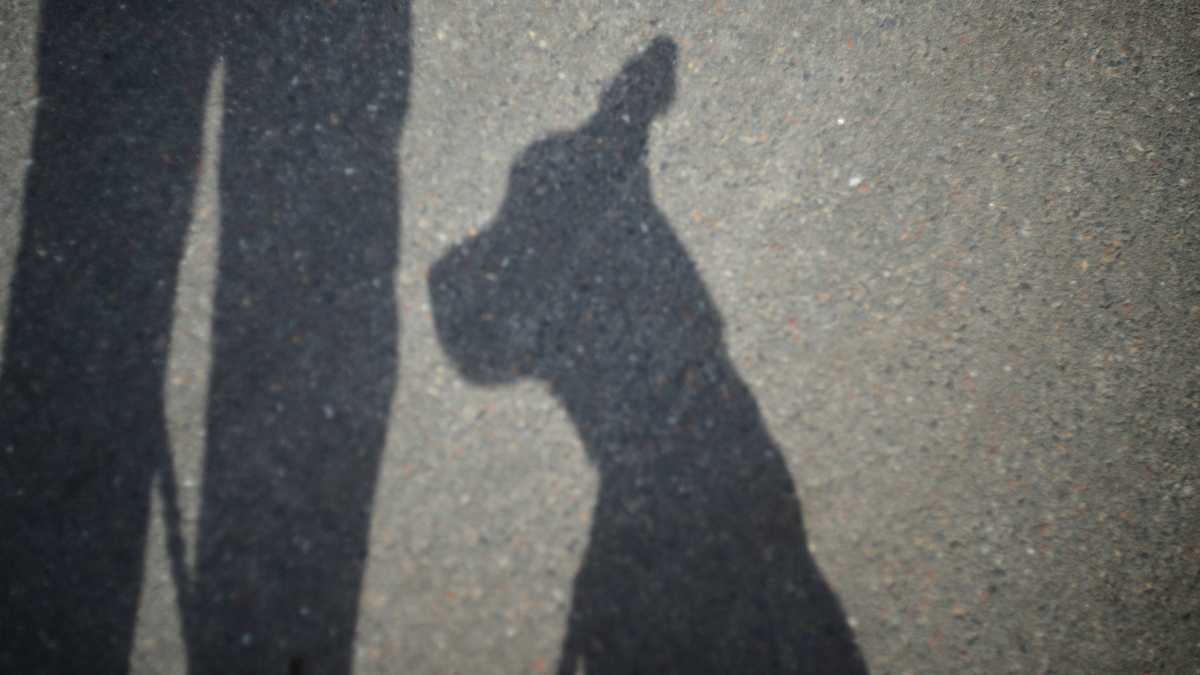 Nel buio i file si affollano, prepotenti