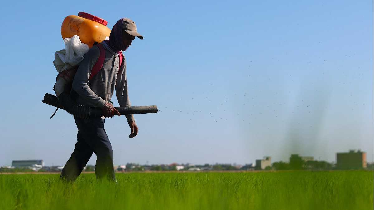 Immagine di Sbloccare i fertilizzanti per evitare il disastro