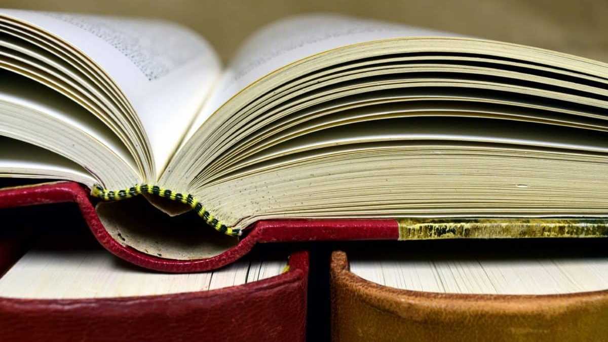 Immagine di Il caso della malattia inventata dimostra che la bibliografia è diventata uno dei punti più fragili della scrittura scientifica