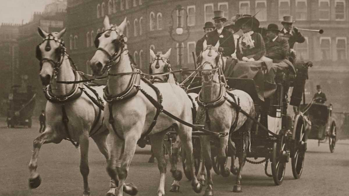 Immagine di L'ultima libertà di quest'epoca: vivere altrove perché ogni posto è uguale all'altro