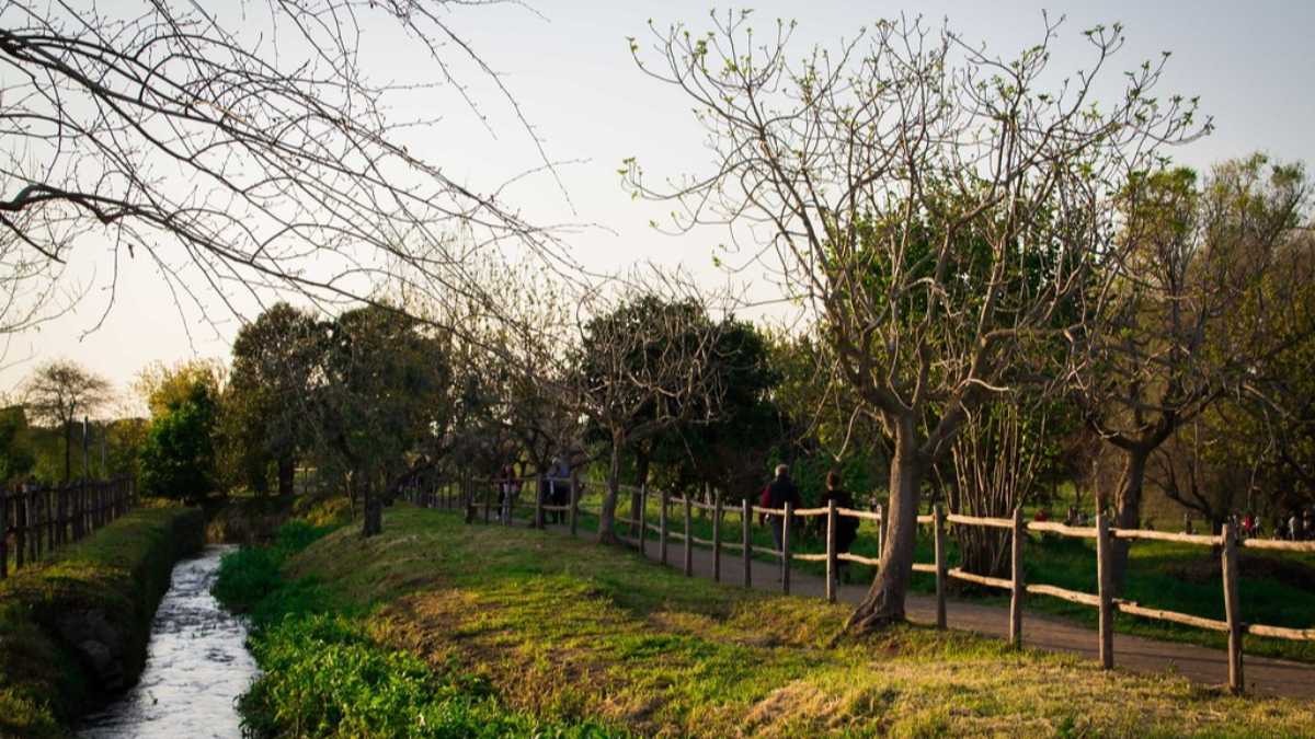 Immagine di La splendida primavera romana trascorsa all’area cani con Fix