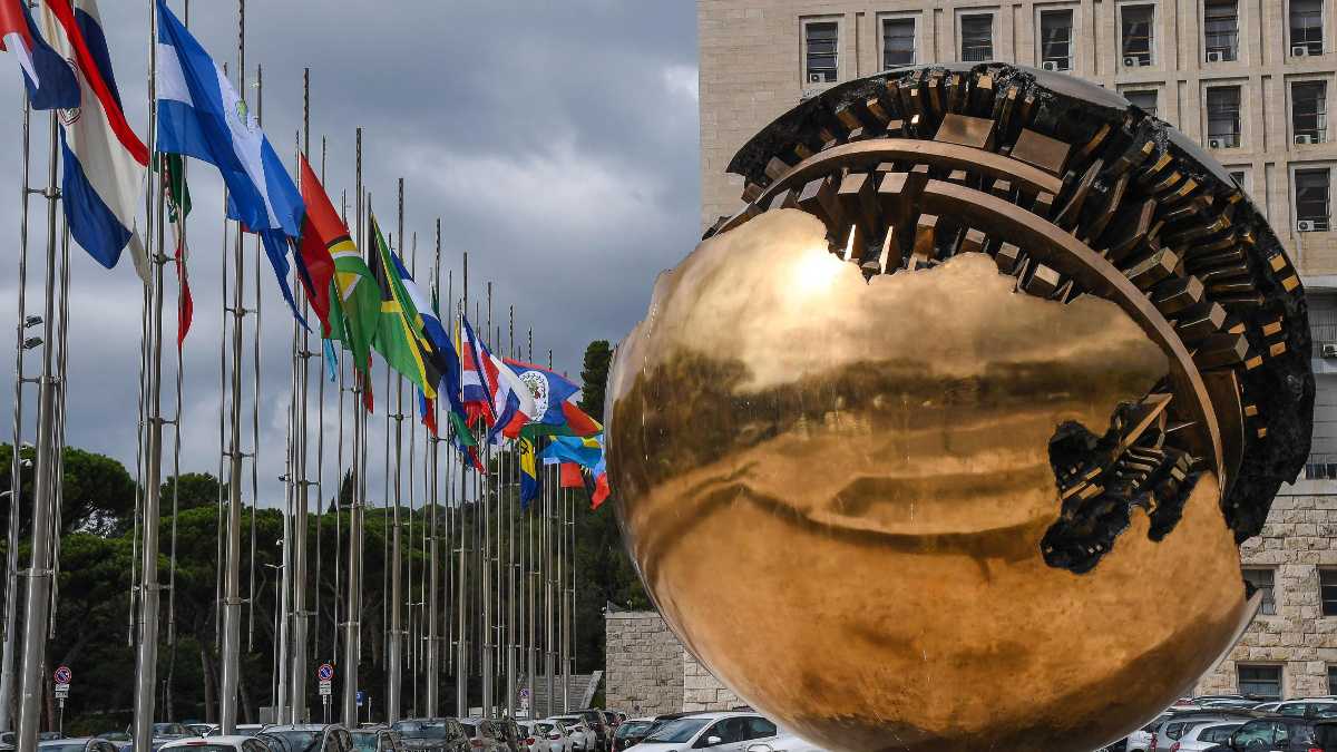Immagine di Il governo ha promosso gli ambasciatori in prima linea nei Paesi del Golfo