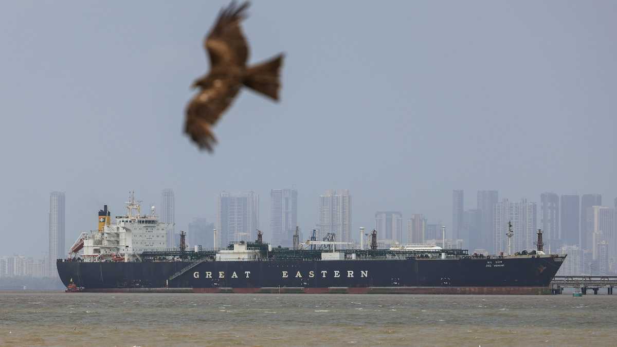 Immagine di La guerra dell'energia