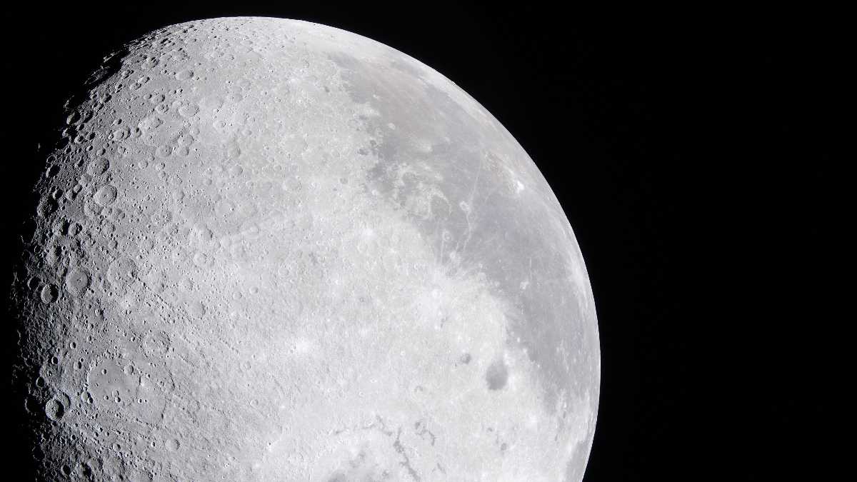 Immagine di Il terrore di essere tutti noi appesi al nulla