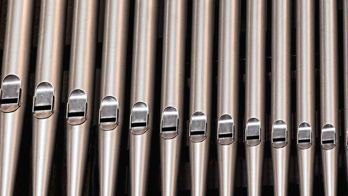 Immagine di L’arte dell’organaro. Storia molto milanese di Giuseppe Costamagna