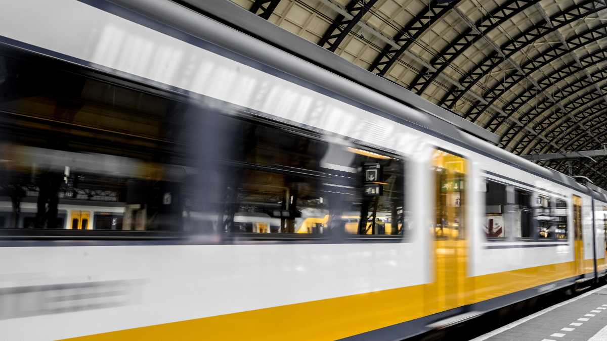 Immagine di David e Olive, fratelli gemelli, e tutto l’amore che c’è