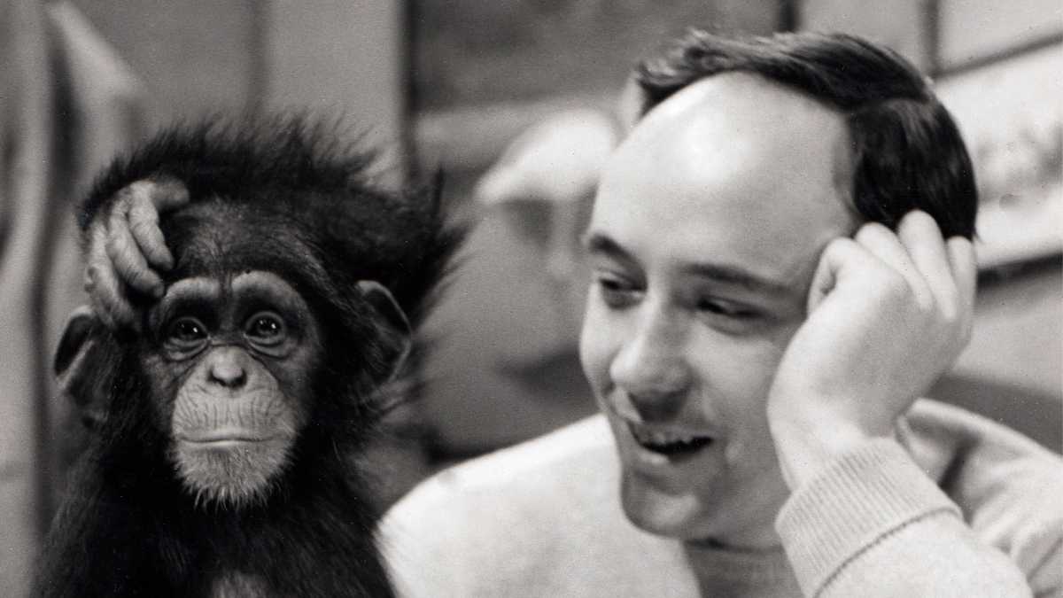 Immagine di Restiamo scimmie per non smettere di essere umani. L'insegnamento di Desmond Morris