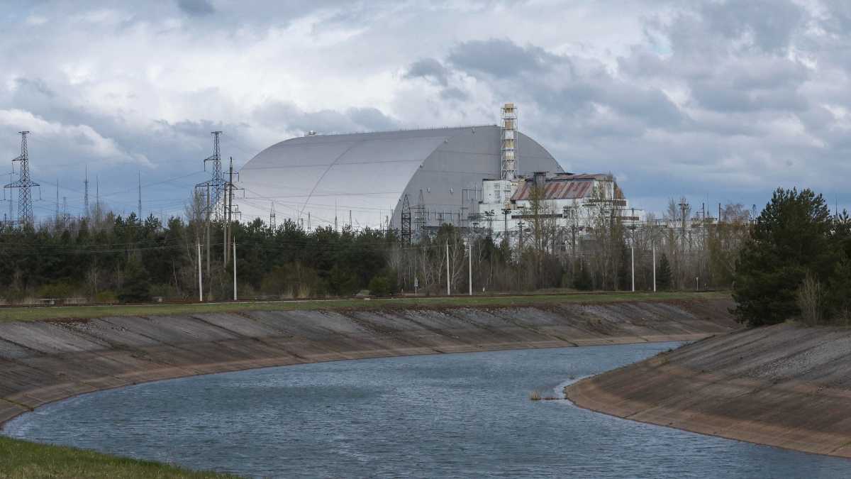 Immagine di L’erba nera di Chornobyl