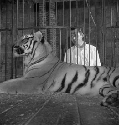 Stanley Kubrick, The world's biggest spectacle: a circus run by a family, marzo 1948