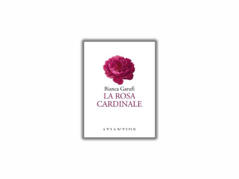 La rosa cardinale
