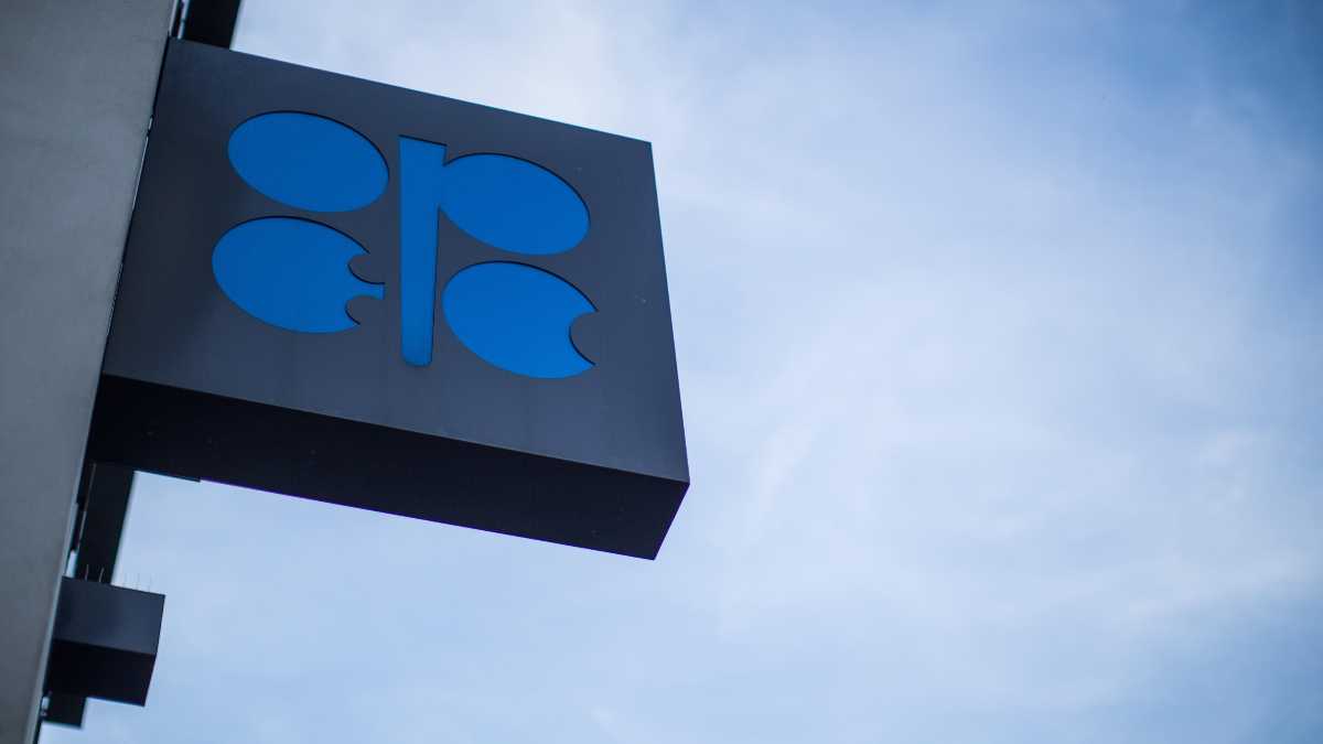 Immagine di Lanza (Fondazione Eni Mattei): "Emirati Arabi Uniti? Non escludo un passo indietro con l'Opec"