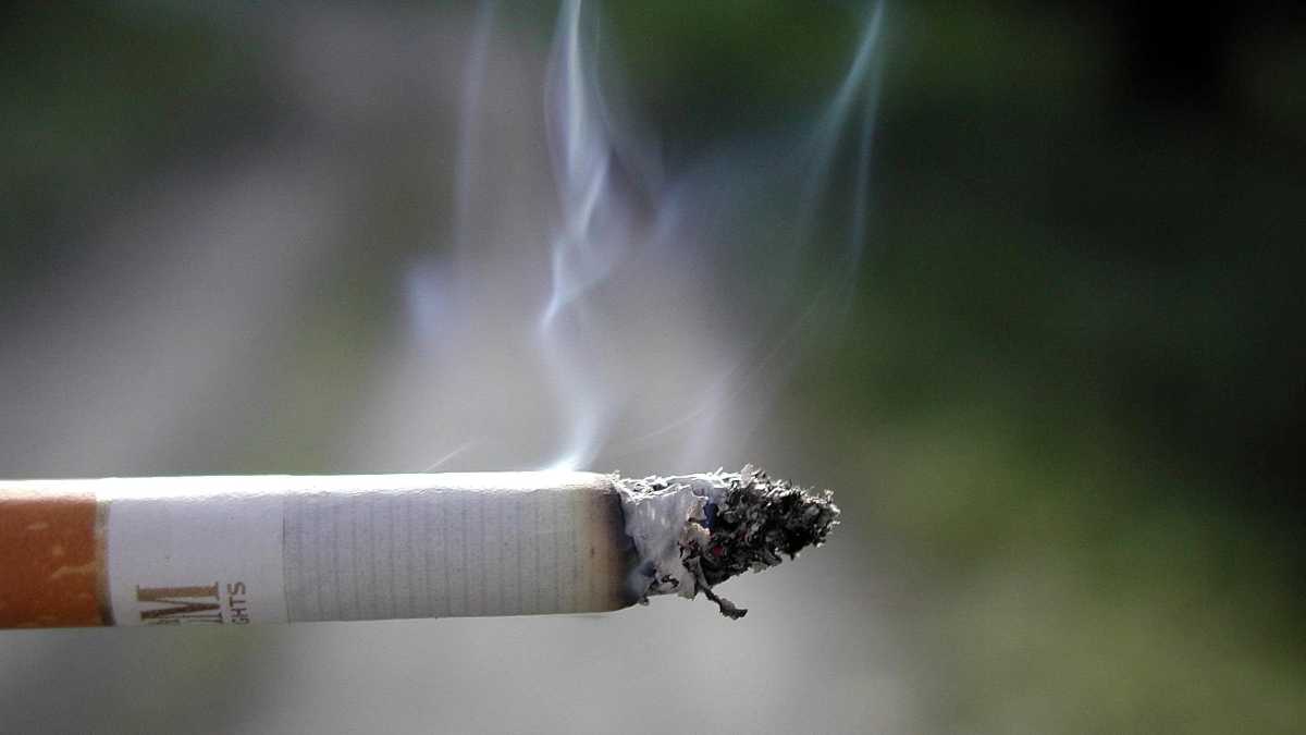 Immagine di Frullati e sigarette: l’eterna inaffidabilità di chi si dice adulto