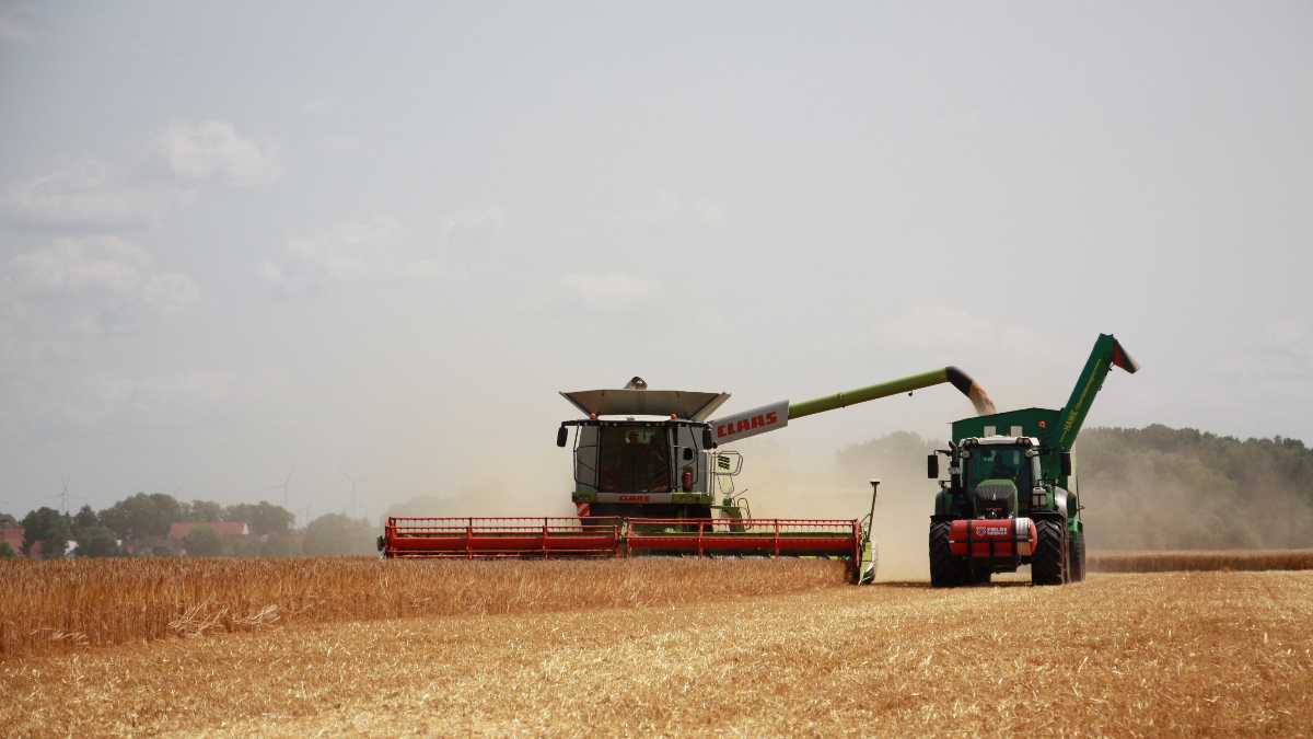 Immagine di Un pensiero alle campagne colpite dalla crisi energetica