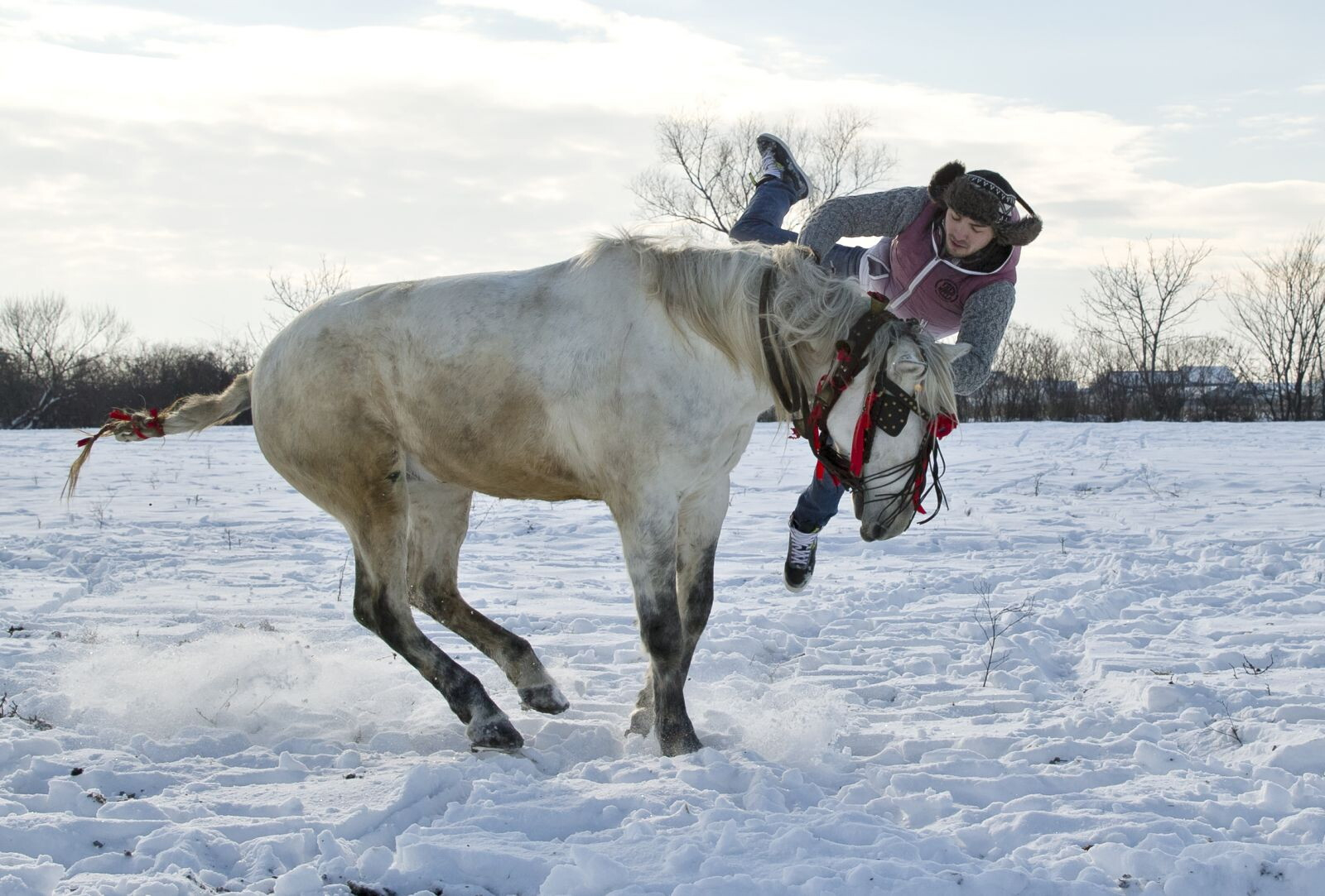 A Pietrosani, in Romania, nel giorno dell'Epifania si corre una gara di cavalli. Prima della cerimonia gli animali vengono bagnati con acqua benedetta.