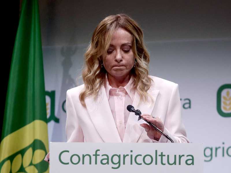 ANSA