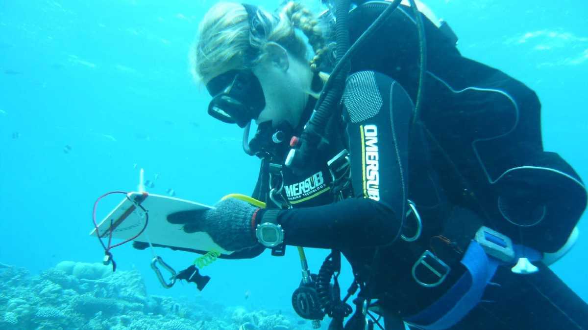 Immagine di Dove finisce la curiosità. La tragedia delle Maldive e il richiamo umano verso gli abissi