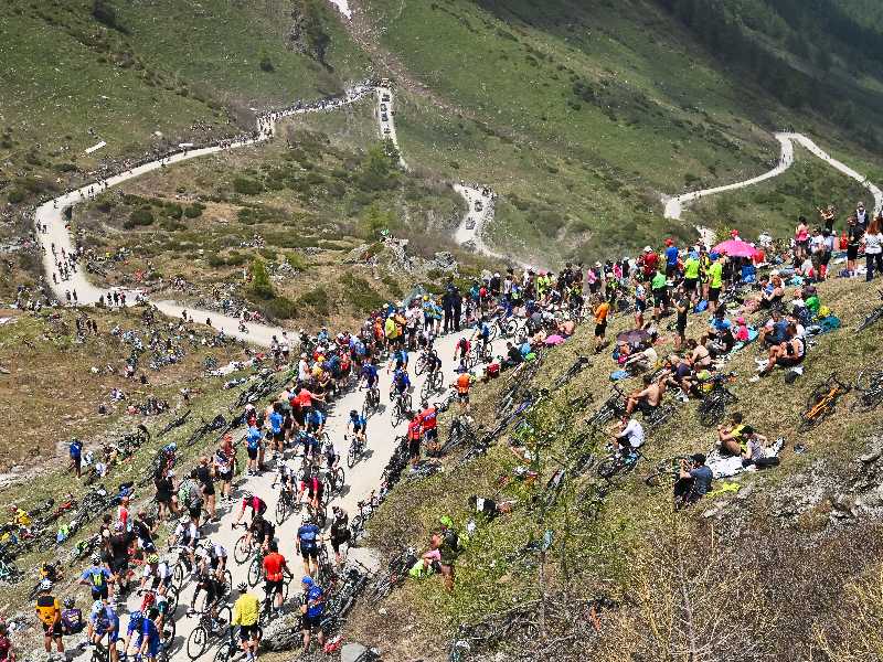 Tutto il verde del Giro d'Italia